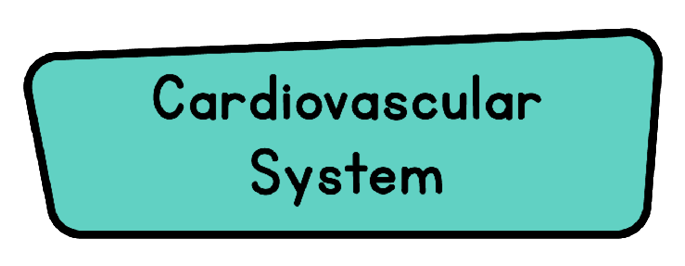 4_6_Body_Systems